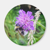 Blütenkraft – Runder Magnet mit Hummelmotiv (Voorkant)