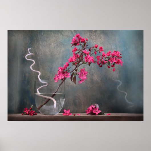 Blütenrausch... Poster (Voorkant)