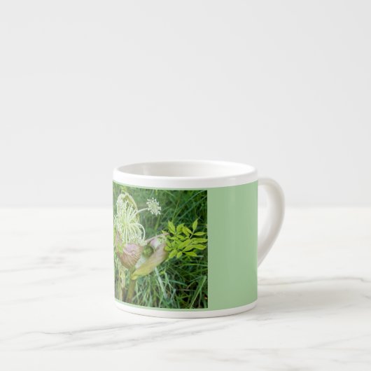 Blütenschlückchen – Engelwurz Espresso Kop (Voorkant rechts)