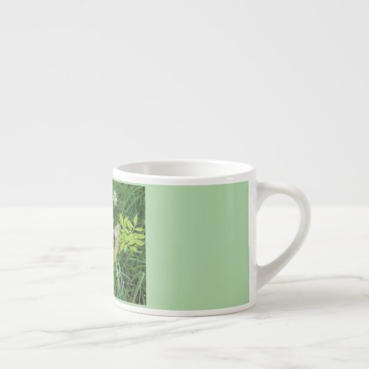 Blütenschlückchen – Engelwurz Espresso Kop (Rechts)