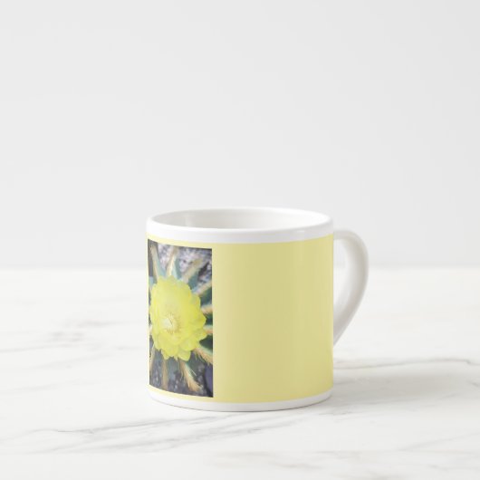 Blütenschlückchen – Goldkugelkaktus Espresso Kop (Voorkant rechts)