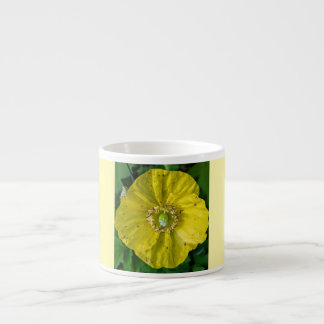 Blütenschlückchen - Wald-Scheinmohn Espresso Kop