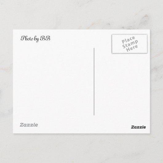 Blütenstaub Briefkaart (Achterkant)