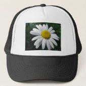 Blütenzentrum weisse Margerite Trucker Pet (Voorkant)