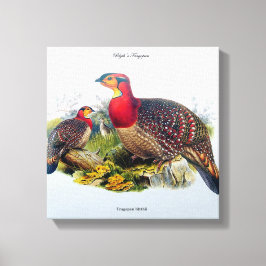Blyth's Tragopan ook bekend als de Hoornfazant J.G Canvas Afdruk