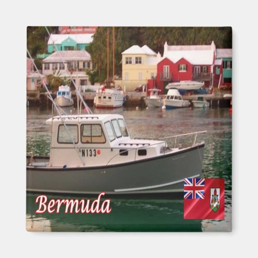 BM008 BERMUDA, Flatts Village, Panorama, Fridge Magneet (Voorkant)