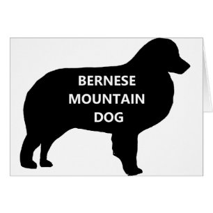 BMD naam silhouette.png