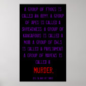 BMEER RAVENS POSTER (Voorkant)