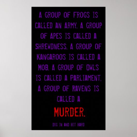 BMEER RAVENS POSTER (Voorkant)