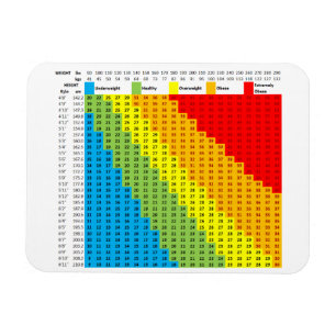 BMI Chart Magnet Magneet