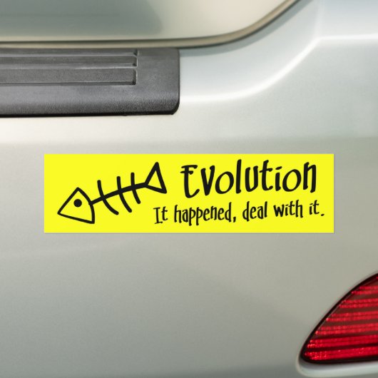 BMP Evolutie Reality Check v1.4 Bumpersticker (Op auto)