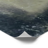 BMX10, Copyright Karen J Williams Poster (Hoek)