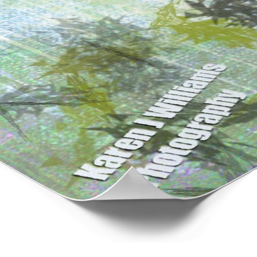 BMX 350.1, Copyright Karen J Williams Poster (Hoek)