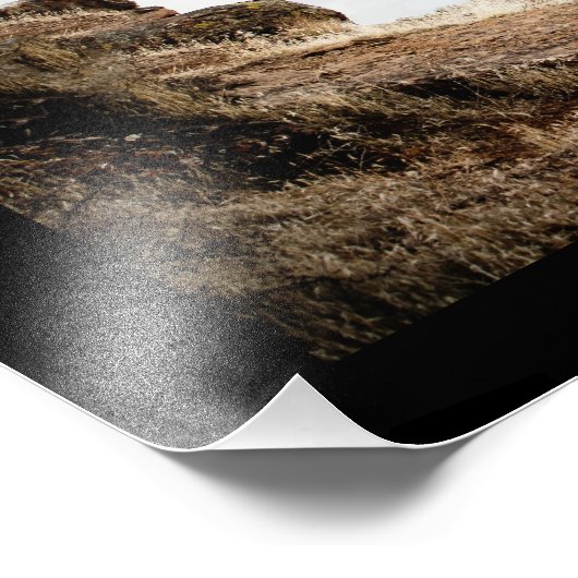 BMX Biker Jumping Poster (Hoek)