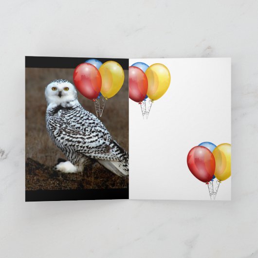 BMX FEESTDAGEN KAART (Binnen)