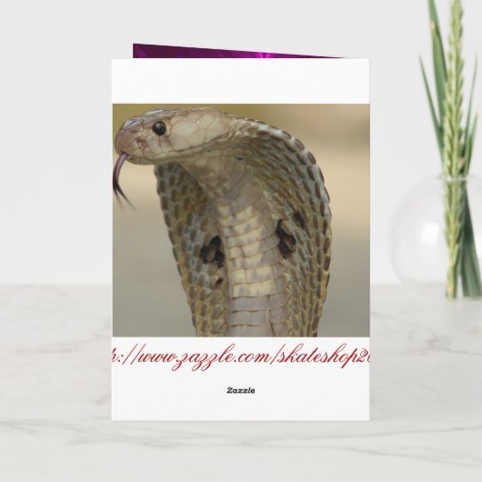 BMX FEESTDAGEN KAART (Achterkant)