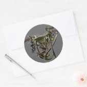 BMX racing sticker 1 (Envelop)