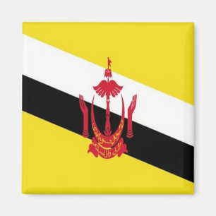 BN - Brunei - vlag Magneet
