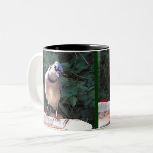 BN- Mockingbird en Blue Jay mok (Voorkant links)