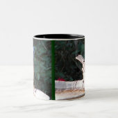 BN- Mockingbird en Blue Jay mok (Center)