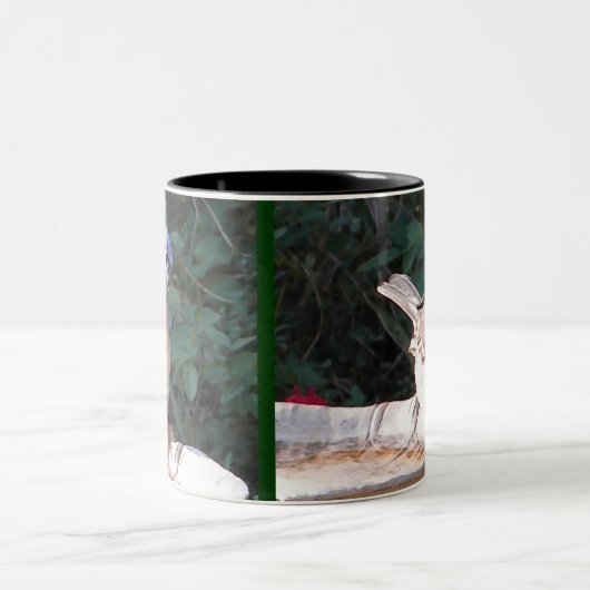 BN- Mockingbird en Blue Jay mok (Center)