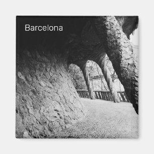 Bnw colonnade of Park Guell Magneet
