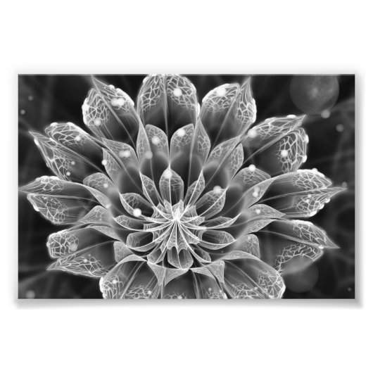 BnW Fractal Dahlia Flower via Electron Microscope Foto Afdruk (Voorkant)