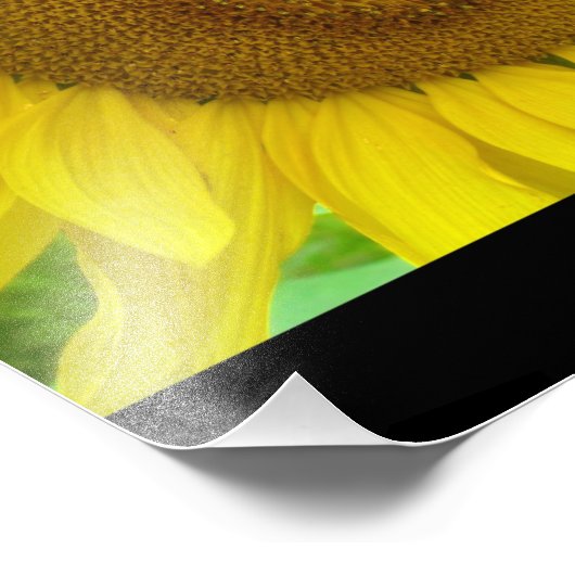 BO1050 12x12 Foto Afdruk (Hoek)