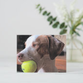 Bo-Bo en Bally Briefkaart (Staand voorkant)