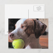 Bo-Bo en Bally Briefkaart (Voorkant / Achterkant)