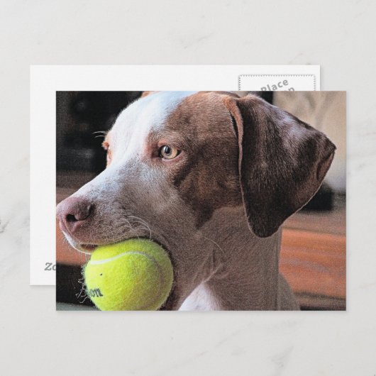 Bo-Bo en Bally Briefkaart (Voorkant / Achterkant)