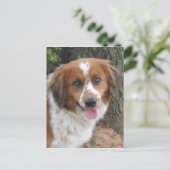 Bo Briefkaart (Staand voorkant)