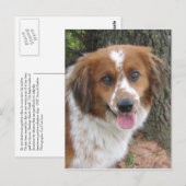 Bo Briefkaart (Voorkant / Achterkant)