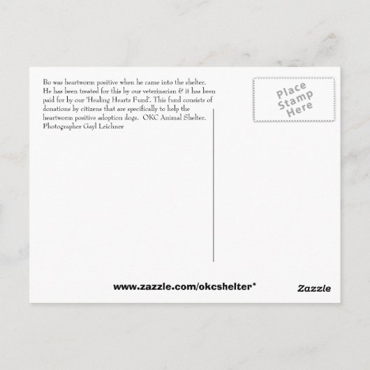 Bo Briefkaart (Achterkant)