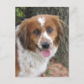 Bo Briefkaart (Voorkant)