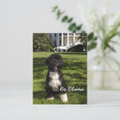 Bo Obama Briefkaart (Staand voorkant)