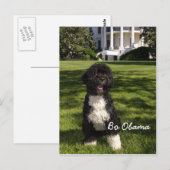 Bo Obama Briefkaart (Voorkant / Achterkant)