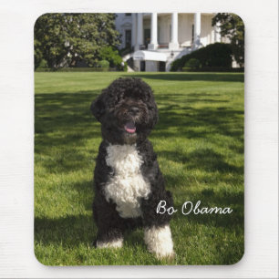 Bo Obama Muismat