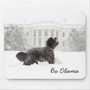 Bo Obama Muismat