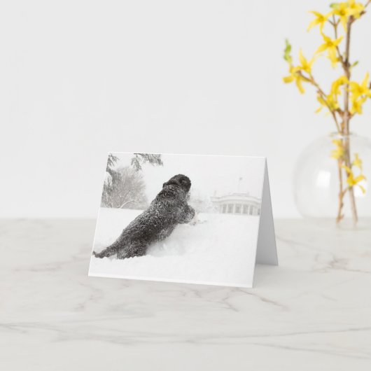 Bo Obama Note Kaart - Zuid - Motivering (Gele Bloem)