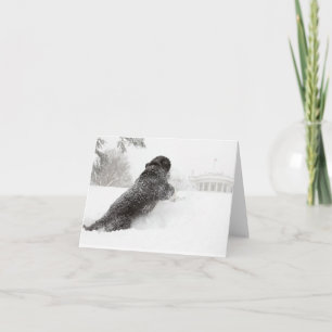 Bo Obama Note Kaart - Zuid - Motivering