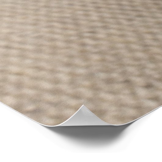 Bo Obama - Poster Aloha (Hoek)