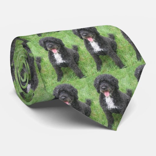 Bo Obama Stropdas (Opgerold)