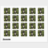Bo Obama Vierkante Sticker (Vel)