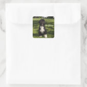 Bo Obama Vierkante Sticker (Tas)