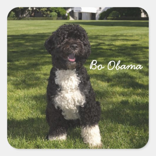 Bo Obama Vierkante Sticker (Voorkant)