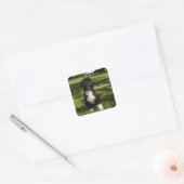 Bo Obama Vierkante Sticker (Envelop)