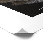 Bo & Sissy Poster (Hoek)