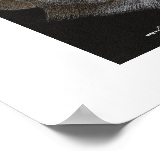 Bo & Sissy Poster (Hoek)