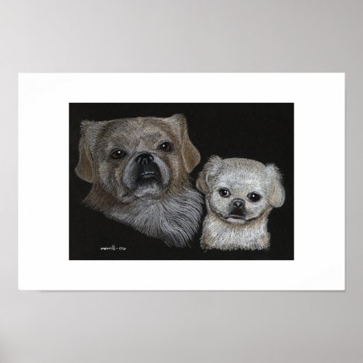 Bo & Sissy Poster (Voorkant)